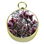 Saucer Magnolia Tree II Gold Compasses Front