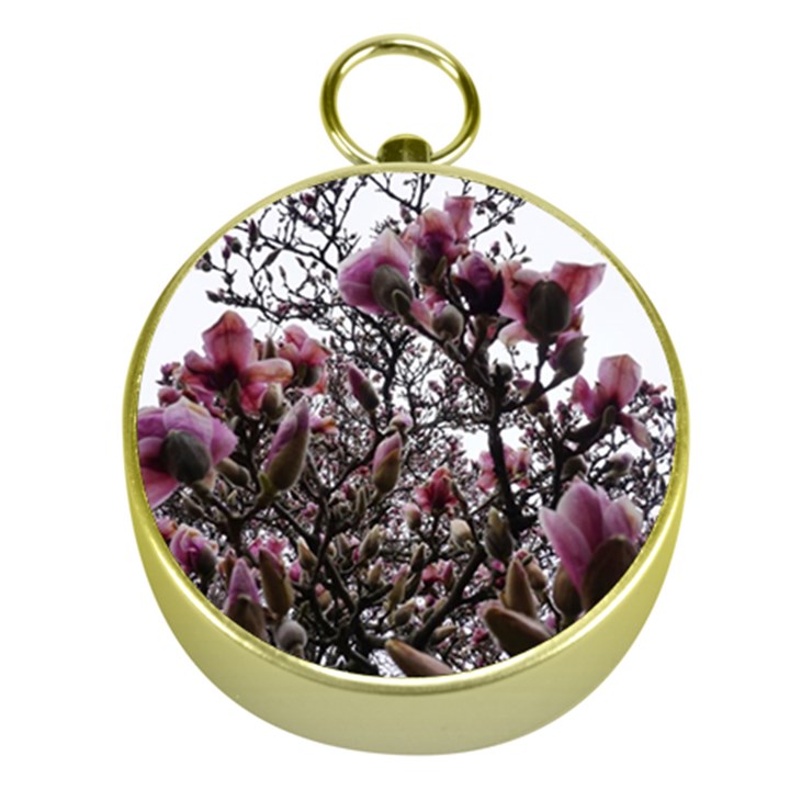 Saucer Magnolia Tree II Gold Compasses