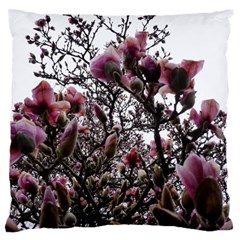 Saucer Magnolia Tree Ii Large Flano Cushion Case (two Sides)