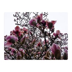 Saucer Magnolia Tree Ii Double Sided Flano Blanket (mini)  by okhismakingart