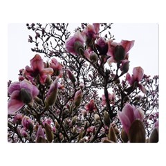 Saucer Magnolia Tree Ii Double Sided Flano Blanket (large)  by okhismakingart