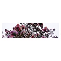 Saucer Magnolia Tree Ii Satin Scarf (oblong) by okhismakingart