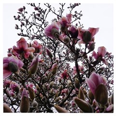 Saucer Magnolia Tree Ii Wooden Puzzle Square