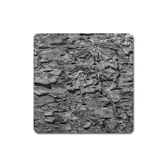 Black And White Texture Print Square Magnet