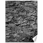 Black And White Texture Print Canvas 12  x 16  11.86 x15.41  Canvas - 1