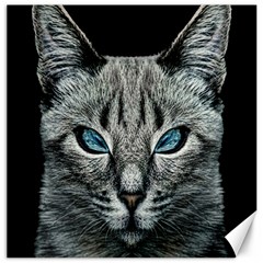 Evil Cat Portrait Digital Art Canvas 20  X 20  by dflcprintsclothing