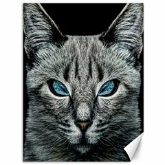 Evil Cat Portrait Digital Art Canvas 36  X 48 