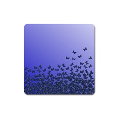 Gradient Butterflies Pattern, Flying Insects Theme Square Magnet by Casemiro