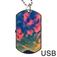  Brushstroke Skies Dog Tag Usb Flash (two Sides) by okhismakingart