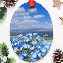 Floral Nature Oval Ornament (two Sides) by Sparkle