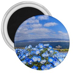 Floral Nature 3  Magnets by Sparkle