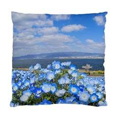 Floral Nature Standard Cushion Case (one Side) by Sparkle