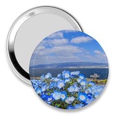 Floral Nature 3  Handbag Mirrors by Sparkle