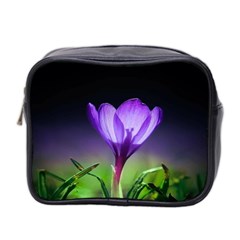 Flower Mini Toiletries Bag (two Sides) by Sparkle