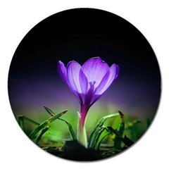 Floral Nature Magnet 5  (round) by Sparkle