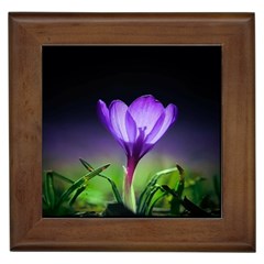 Floral Nature Framed Tile by Sparkle