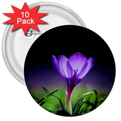 Floral Nature 3  Buttons (10 Pack)  by Sparkle