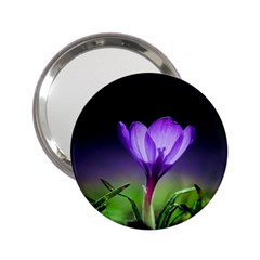 Floral Nature 2 25  Handbag Mirrors by Sparkle