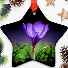 Floral Nature Star Ornament (two Sides) by Sparkle