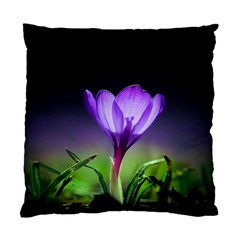 Floral Nature Standard Cushion Case (two Sides) by Sparkle