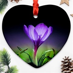 Floral Nature Heart Ornament (two Sides) by Sparkle