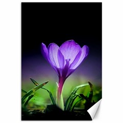 Floral Nature Canvas 12  X 18  by Sparkle