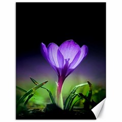 Floral Nature Canvas 18  X 24  by Sparkle