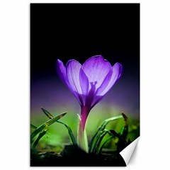 Floral Nature Canvas 24  X 36  by Sparkle