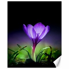 Floral Nature Canvas 11  X 14  by Sparkle