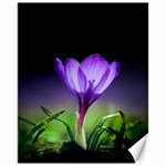 Floral Nature Canvas 11  x 14  10.95 x13.48  Canvas - 1