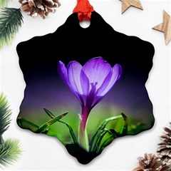 Floral Nature Snowflake Ornament (two Sides) by Sparkle