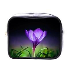 Floral Nature Mini Toiletries Bag (one Side) by Sparkle