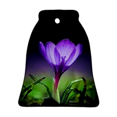 Floral Nature Bell Ornament (two Sides)