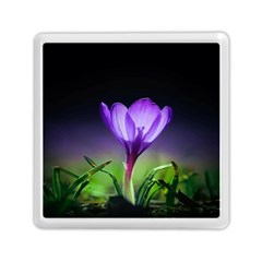 Floral Nature Memory Card Reader (square) by Sparkle