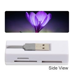 Floral Nature Memory Card Reader (stick) by Sparkle