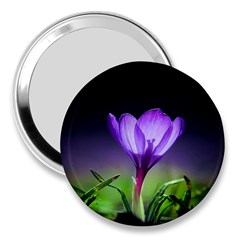 Floral Nature 3  Handbag Mirrors by Sparkle