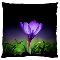 Floral Nature Large Flano Cushion Case (two Sides) by Sparkle