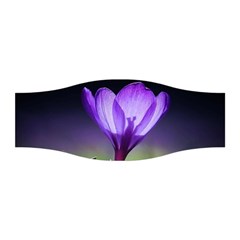 Floral Nature Stretchable Headband by Sparkle