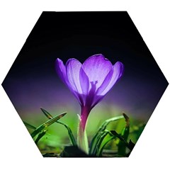 Floral Nature Wooden Puzzle Hexagon by Sparkle