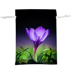 Floral Nature  Lightweight Drawstring Pouch (xl) by Sparkle