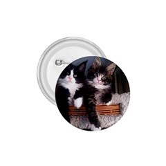 Cats Brothers 1 75  Buttons by Sparkle