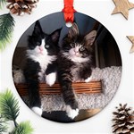 Cats Brothers Ornament (Round) Front