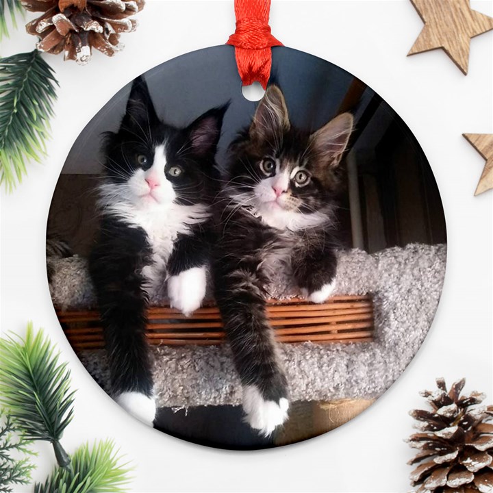 Cats Brothers Ornament (Round)