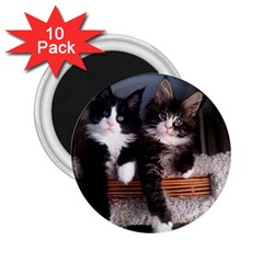 Cats Brothers 2 25  Magnets (10 Pack)  by Sparkle