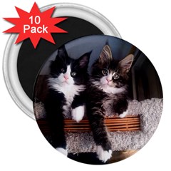 Cats Brothers 3  Magnets (10 Pack)  by Sparkle