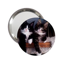 Cats Brothers 2 25  Handbag Mirrors by Sparkle