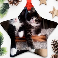 Cats Brothers Star Ornament (two Sides) by Sparkle