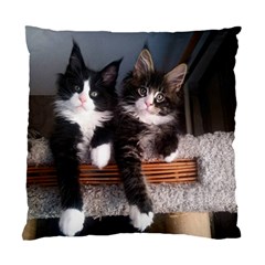 Cats Brothers Standard Cushion Case (two Sides) by Sparkle