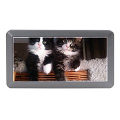 Cats Brothers Memory Card Reader (mini) by Sparkle