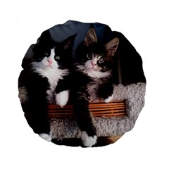 Cats Brothers Standard 15  Premium Round Cushions